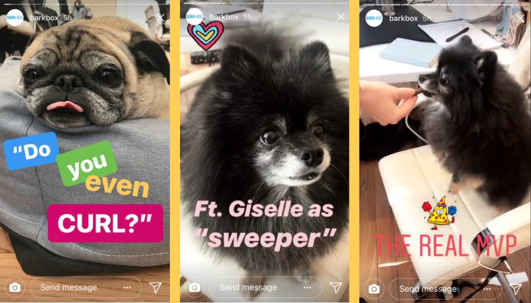 subscription box service for dog products, toys, and goodies uses the Instagram Stories feature