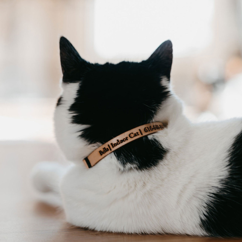 Personalized Leather Cat ID Collar - Custom Fit for Comfort