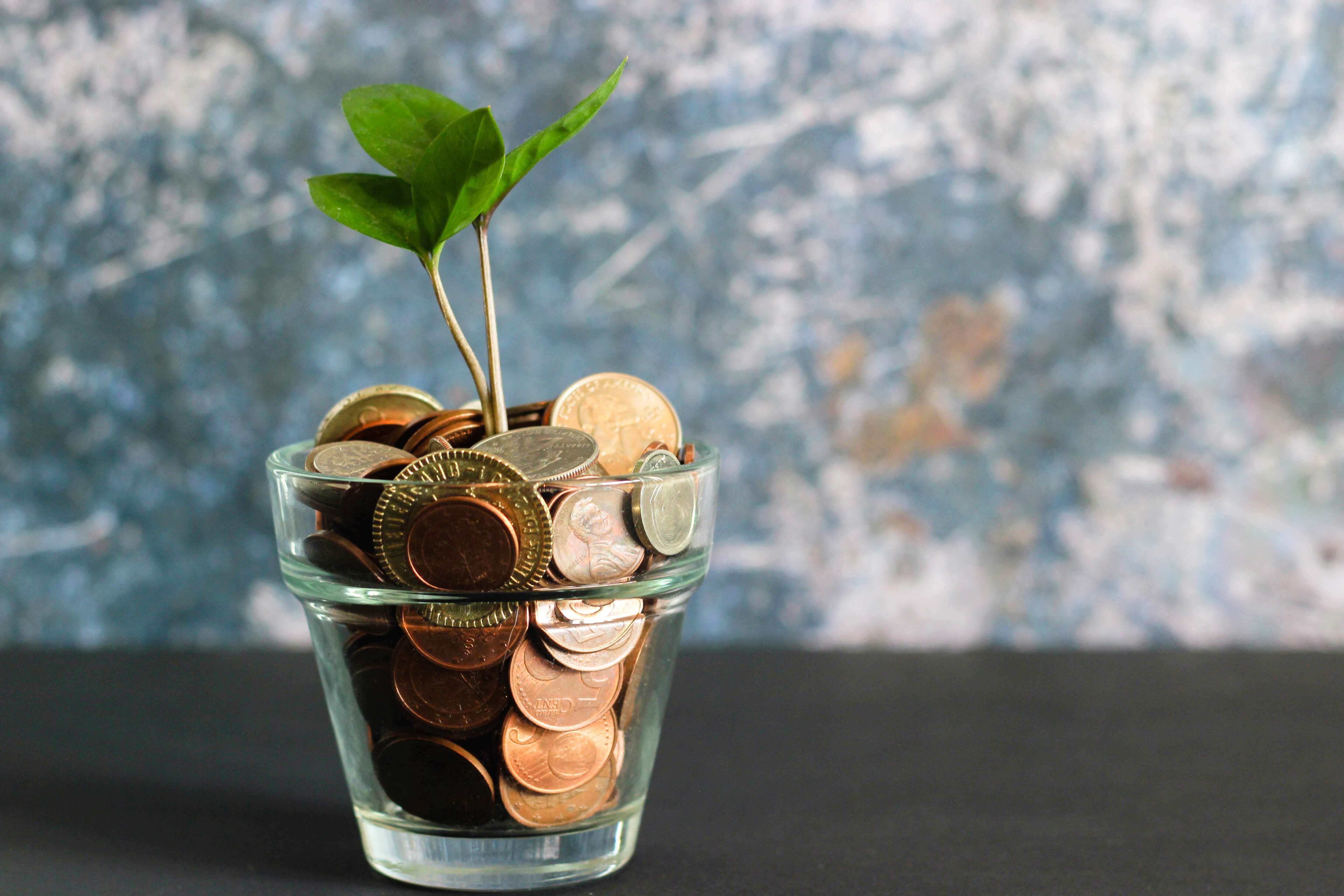 How Novo, a Business Banking Platform Grew Exponentially during COVID-19