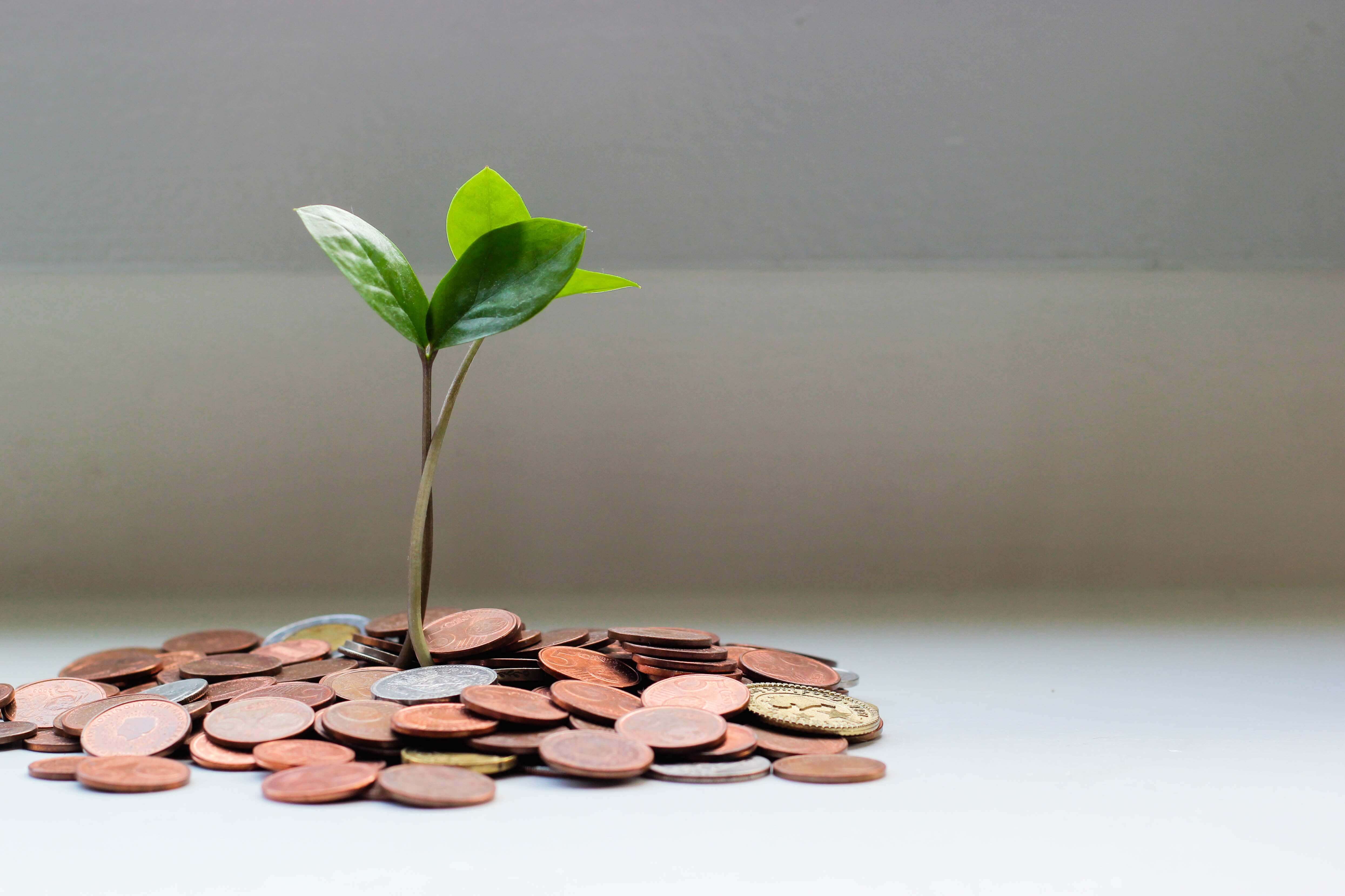 Novo Surpasses $1 Billion in Lifetime Small Business Transactions